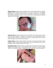 Žaizdos ir jų gydymas 4 puslapis