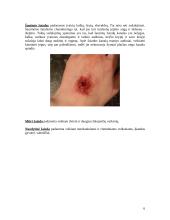Žaizdos ir jų gydymas 6 puslapis