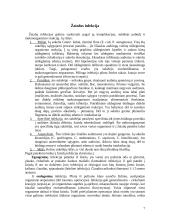 Žaizdos ir jų gydymas 7 puslapis