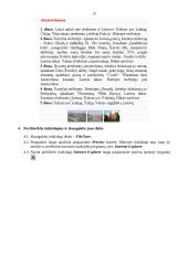 Internetinio puslapio kūrimas 12 puslapis