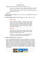 Internetinio puslapio kūrimas 17 puslapis