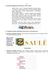 Internetinio puslapio kūrimas 18 puslapis