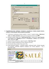 Internetinio puslapio kūrimas 4 puslapis