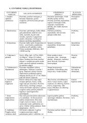 Slaugos planas: nervų ligos 3 puslapis