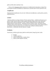 Terapinio paciento slaugos istorija: insultas, dešinio šlaunikaulio lūžis, pneumonija, pleuritas 4 puslapis