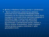 Lietuvos apgyvendinimas. Seniausieji Lietuvos gyventojai 11 puslapis