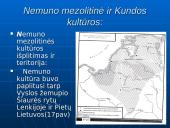 Lietuvos apgyvendinimas. Seniausieji Lietuvos gyventojai 13 puslapis