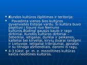 Lietuvos apgyvendinimas. Seniausieji Lietuvos gyventojai 15 puslapis