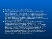 Lietuvos apgyvendinimas. Seniausieji Lietuvos gyventojai 16 puslapis