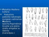 Lietuvos apgyvendinimas. Seniausieji Lietuvos gyventojai 8 puslapis
