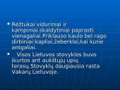 Lietuvos apgyvendinimas. Seniausieji Lietuvos gyventojai 9 puslapis