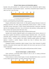 Ispanijos švietimo sistema 2 puslapis