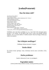 Lietuvių liaudies dainų savitumas 2 puslapis