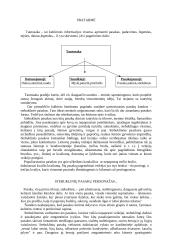 Pasakojamoji tautosaka - "Trečias brolis kvailys" 3 puslapis