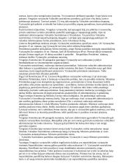 Vengrijos Vyriausybė 3 puslapis