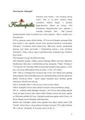 Alaus pramonė ir jos vystymasis 15 puslapis