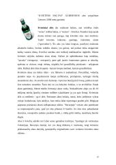 Alaus pramonė ir jos vystymasis 19 puslapis