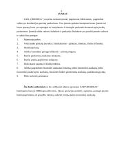 Apskaita įmonėje: konditerijos gaminių pardavimas UAB "Orchidėja" 3 puslapis