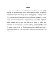 Asmeninės bibliotekos klausimai 7 puslapis