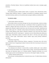 Aukštojo mokslo sistema Anglijoje 12 puslapis