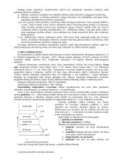 Aviacinė meteorologija 5 puslapis