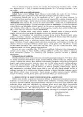 Aviacinė meteorologija 10 puslapis