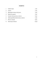 Baltų dievai 2 puslapis