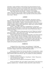 Baltų dievai 6 puslapis