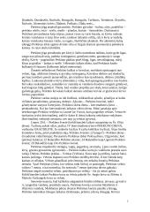 Baltų dievai 7 puslapis