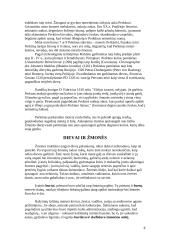 Baltų dievai 8 puslapis