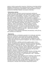 Baroko menas Lietuvoje 3 puslapis