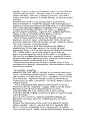 Baroko menas Lietuvoje 5 puslapis
