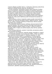 Baroko menas Lietuvoje 6 puslapis