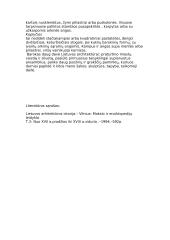 Baroko menas Lietuvoje 9 puslapis