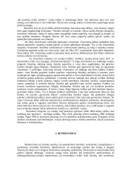 Bendravimas tarp įvairių tautų ir kultūrų 2 puslapis