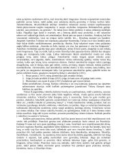 Bendravimas tarp įvairių tautų ir kultūrų 7 puslapis