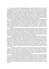 Bendravimas tarp įvairių tautų ir kultūrų 8 puslapis