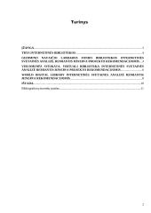 Biblioteka internete 2 puslapis