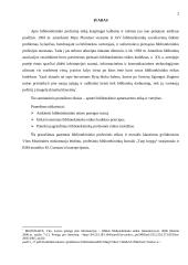 Bibliotekininko etika ir vertybės 2 puslapis