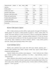 Chemijos pramonė Lietuvoje 13 puslapis