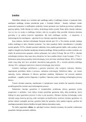 Chemijos pramonė Lietuvoje 2 puslapis