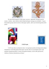 COATS siuvinėjimo siūlai 6 puslapis