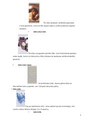 COATS siuvinėjimo siūlai 9 puslapis