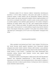 CTP plokštės. CTP plokščių ypatumai 12 puslapis