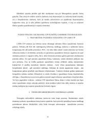 CTP plokštės. CTP plokščių ypatumai 13 puslapis