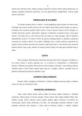 Drabužiai darbe 6 puslapis