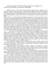 Didysis Vilniaus Seimas 13 puslapis