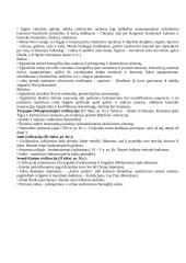 Didžiųjų Upių Civilizacijos: Egiptas, Tarpupis (Mesopotamija), Indija, Kinija 2 puslapis