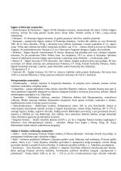 Didžiųjų Upių Civilizacijos: Egiptas, Tarpupis (Mesopotamija), Indija, Kinija 4 puslapis