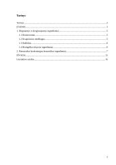Dirginantys ir alergizuojantys ingredientai 2 puslapis